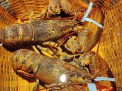 -拉完海鲜大排档(温岭店)