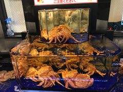 -蟹道乐(道顿堀本店)