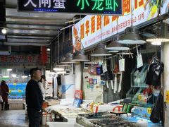 -鑫朱雀农贸批发市场