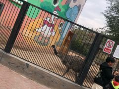 -鄂尔多斯野生动物园