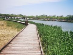 -西青郊野公园