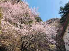 -圣莲山风景区