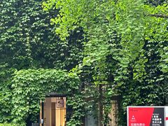 -中国美术学院-美术馆