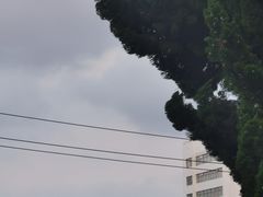 -贮水山儿童公园
