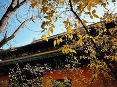 -西园戒幢律寺