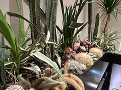 -J Create城市露营咖啡·简餐·宠物(上海动物园店)