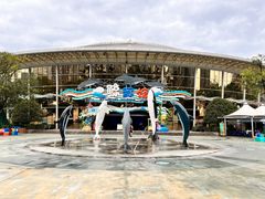 -海合安成都极地海洋公园