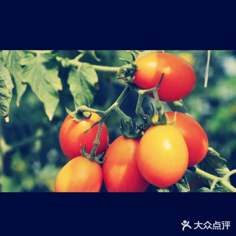 夏日溜娃亲近大自然的首选宝地