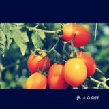 夏日溜娃亲近大自然的首选宝地