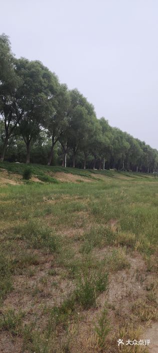 潇河湿地公园图片