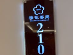 -梅花香里大酒店(郁金香路店)