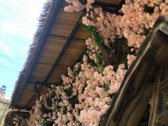 -古龙峡云天玻霸