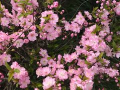 -白塘生态植物园