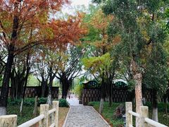 -厦门园林博览苑