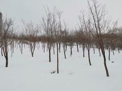 -小绿谷公园