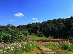 -保利石象湖景区