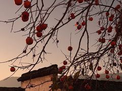 -塔川景区