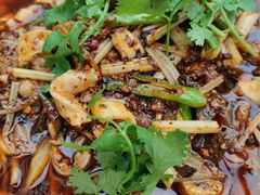 火爆脆肠-小杨翘脚牛肉