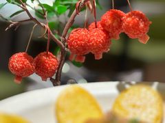 -奔跑吧陕菜·盛世长安(民乐园万达店)