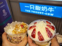 -一只酸奶牛(春熙路店)