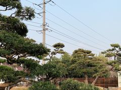-召稼楼古镇