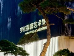 -罗红摄影艺术馆