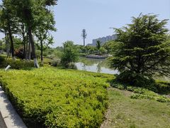 -江滩湿地公园