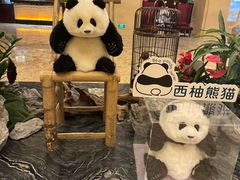 -成都保利公园皇冠假日酒店(熊猫基地店)
