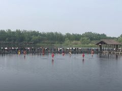 -溱湖国家湿地公园