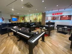 -柏斯琴行(汾阳店)
