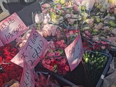 -溪岸路花鸟市场