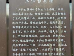 -阳台山自然风景区