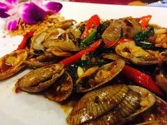 -Daddy Nimman Chiang Mai