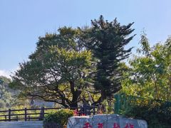 -梅州天地人花园酒店(梅县人民广场店)