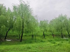-汉江湾体育公园