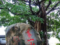 -乌山风景区