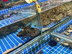 -滑记海鲜饭店·老字号(海鲜街店)