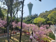 -狐尾山公园