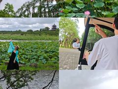 -上海海湾国家森林公园