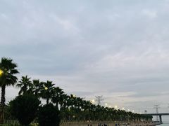 -宝安西湾红树林湿地公园