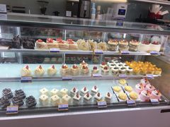 -大麦嘉动物奶油生日蛋糕(军分区新建北路店)