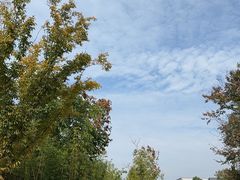 -天目湖涵田度假村