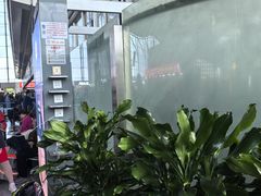 -乌鲁木齐天山国际机场-T3航站楼