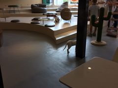 -飞行喵MR PILOT|猫舍·猫咖(静安大融城店)