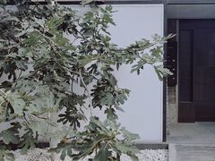 -boundaries籬苑(瑞光创意工厂-贰号院店)