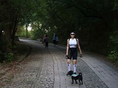 -紫金山山顶公园