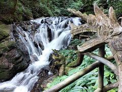-莫里热带雨林景区