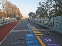 -上海长兴岛郊野公园