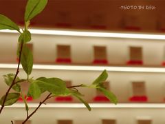 -代数学家algebraist(仙林金鹰店)