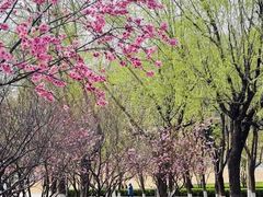 -天津万象城